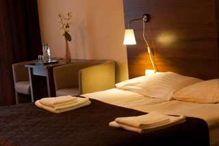 Курортные отели Dwa Potoki Карпач Двухместный номер с 1 кроватью или 2 отдельными кроватями-1